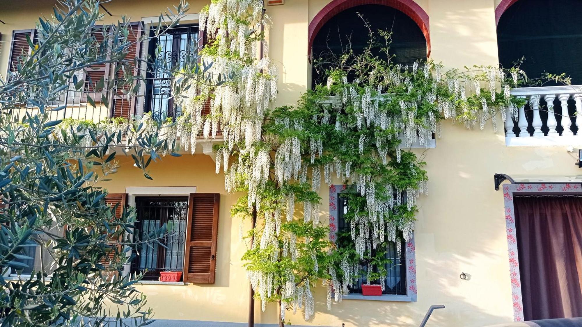 Gasthaus La Casa Dei Masue' Alba  Exterior foto